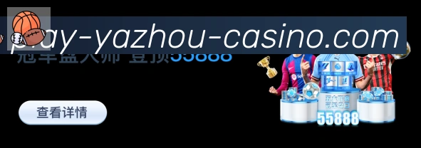 奖项3